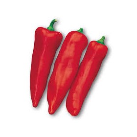 PEPERONI CORNO FRESCHI